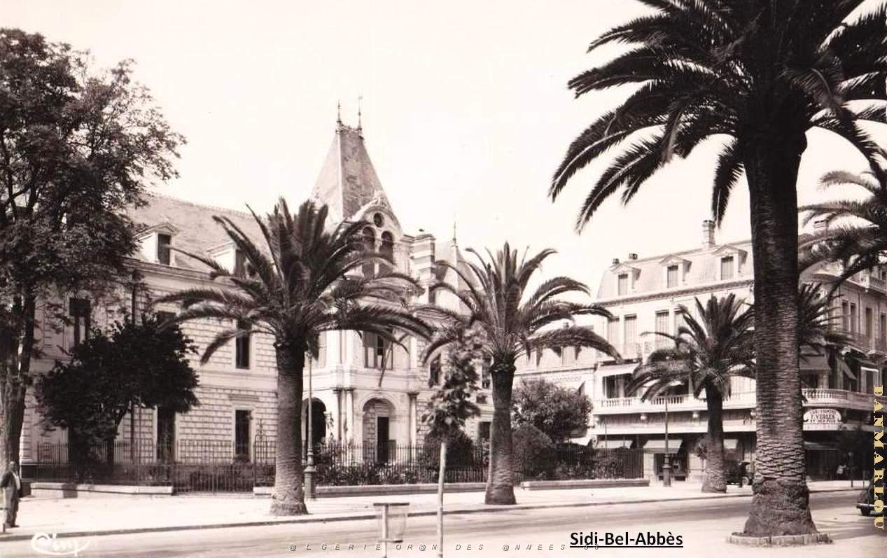 Sidi bel abbes 359.jpg